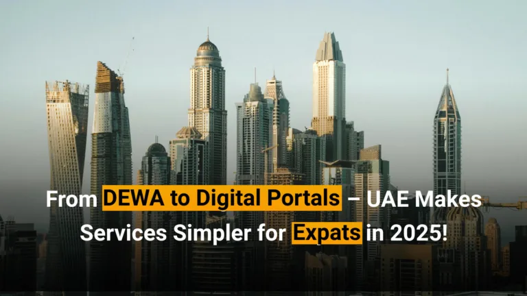 UAE government services guide